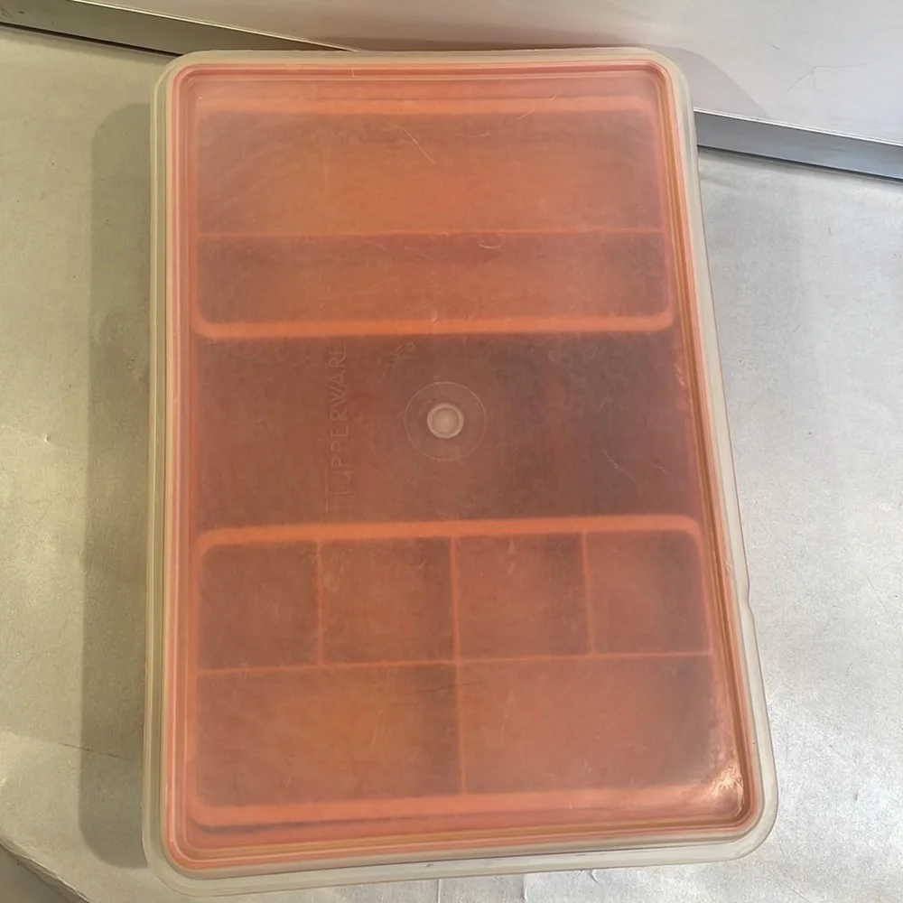 Storage container with removable sections